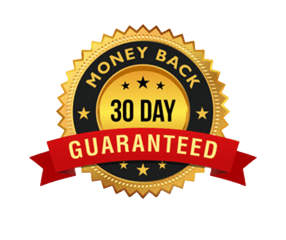 Go Digital Income Refund Guarantee